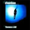 Flamenco Chill, 2002