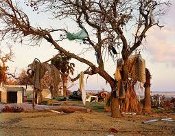 Serie de fotografías de Mitch Epstein para el premio Pictet. Árbol lleno de deshechos. Biloxi, Mississippi