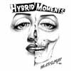 Hybrid Moments