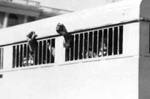 El 16 de junio 1964, Mandela y otros siete activistas pro Derechos Huanos son condenados a cadena perpetua en el juicio de Rivonia. Este furgn les transporta de la Corte a a la crcel