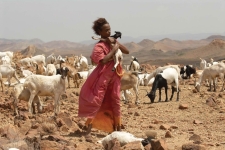 Escena de nia en el desierto rodeada de cabras