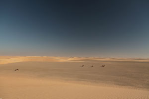 El desierto, tierra de nadie