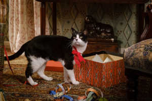 El gato, protagonista de una pelicula dirigida por su presencia en la vida de Louis Wain