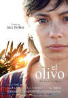 Cartel de la película "El olivo"