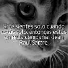 'Si te sientes solo cuando est�s solo, entonces est�s en mala compa��a', Sartre