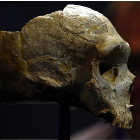 Adolfo Su�rez Illana pone al PP en un aprieto con sus declaraciones sobre el aborto, la mujer y los neandertales