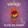 THE VIBORAS