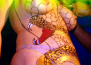 Cobra