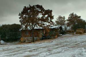 Algunos paisajes de 'El peral salvaje' recuerdan a los de 'Winter Sleep'