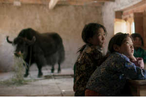 La escuela de Lunana con sus alumnos y su yak