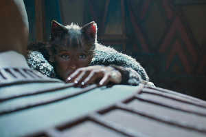 'Cats'