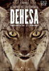 Dehesa, el bosque del lince ib�rico