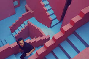 'The Mistery of the Pink Flamingo', en busca del camino