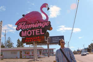 Flamingo Motel