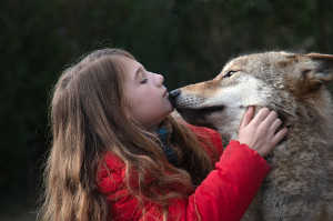 Sinton�a entre animal y humano