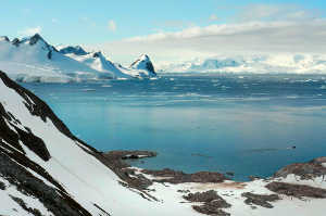 El archipi�lago de Svalbard en el �rtico es el hogar de unas 2.500 morsas del Atl�ntico, ahora una especie protegida despu�s de haber sido cazadas casi hasta la extinci�n hace 50 a�os