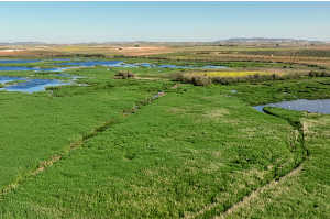 Mancha húumeda en la laguna del Taray Mancha húumeda en la laguna del Taray