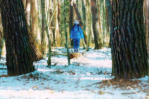 Hana intern�ndose en el bosque