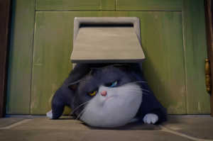 Beckett convertido en un gato adulto (gordo y perezoso)