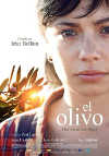 Cartel de la pel&iacute;cula "El olivo"