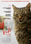 Cartel de la pel�cula "KEDI (Gatos de Estambul)"