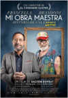 Cartel de la pel&iacute;cula "Mi obra maestra"