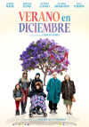 Cartel de la pel&iacute;cula "Verano en diciembre;quot;