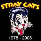 Stray Cats